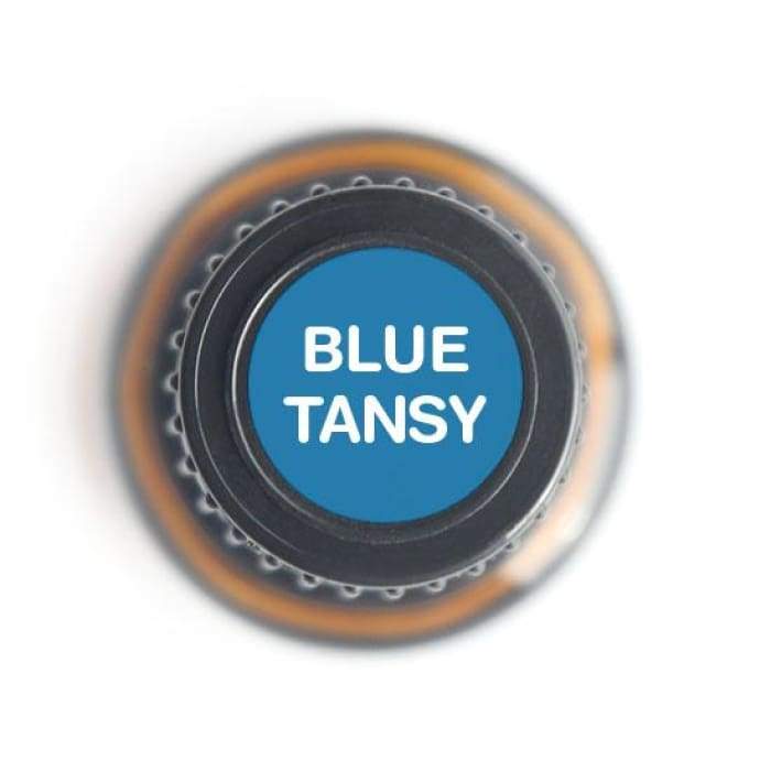 Blue Tansy Pure Essential Oil - 5ml-1